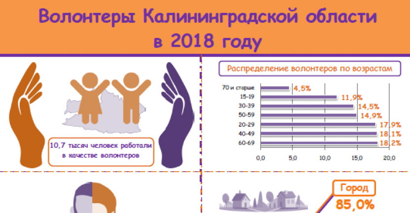 Волонтеры Калининградской области в 2018 году